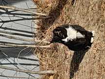 recommendation test thumbnail