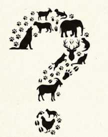 recommendation test thumbnail