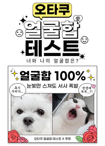 recent uploaded test thumbnail