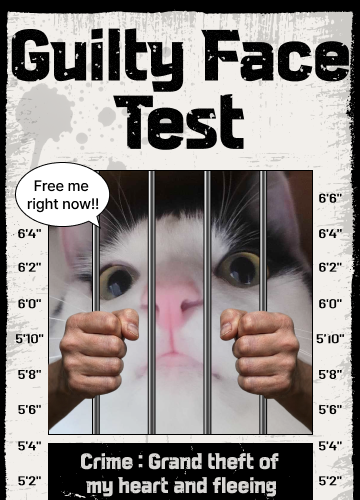 recommendation test thumbnail